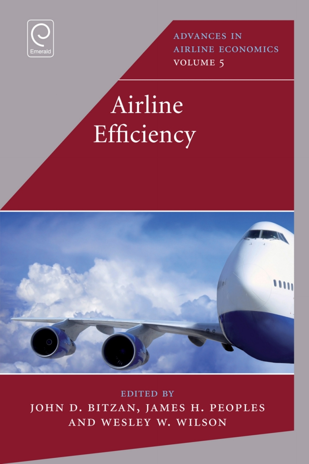 Airline Efficiency 1st Edition â€“ PDF/EPUB Version Downloadable