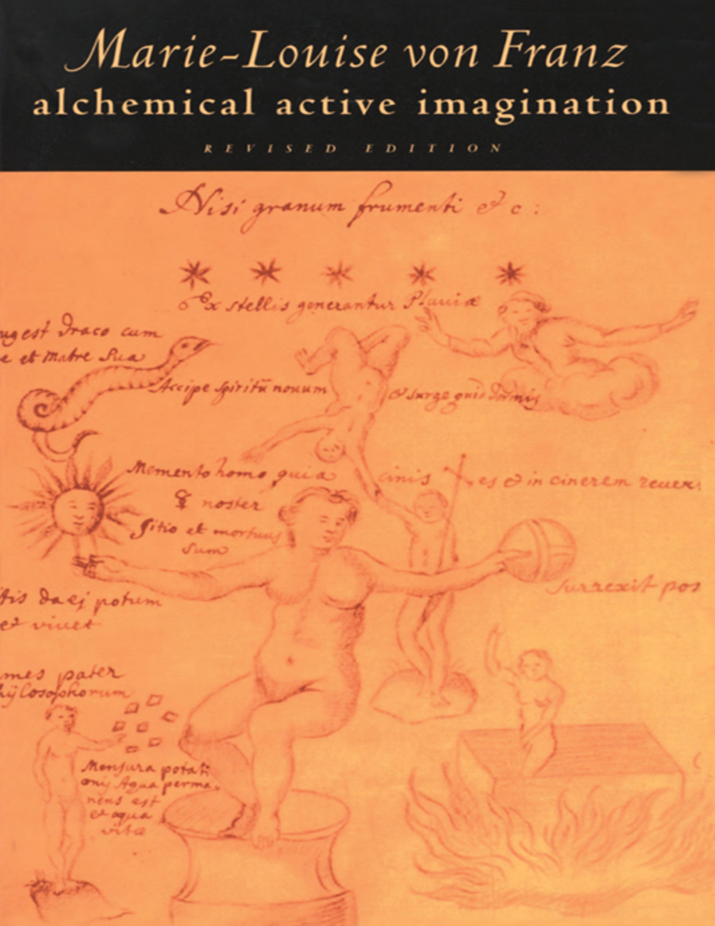 Alchemical Active Imagination Revised Edition - (PDF/EPUB Version)