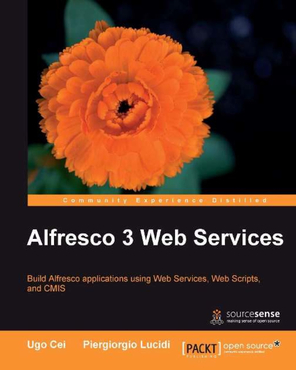 Alfresco 3 Web Services 1st Edition â€“ PDF/EPUB Version Downloadable