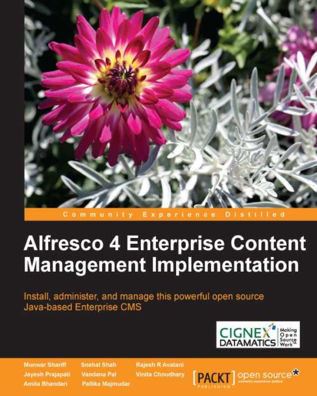 Alfresco 4 Enterprise Content Management Implementation 1st Edition â€“ PDF/EPUB Version Downloadable