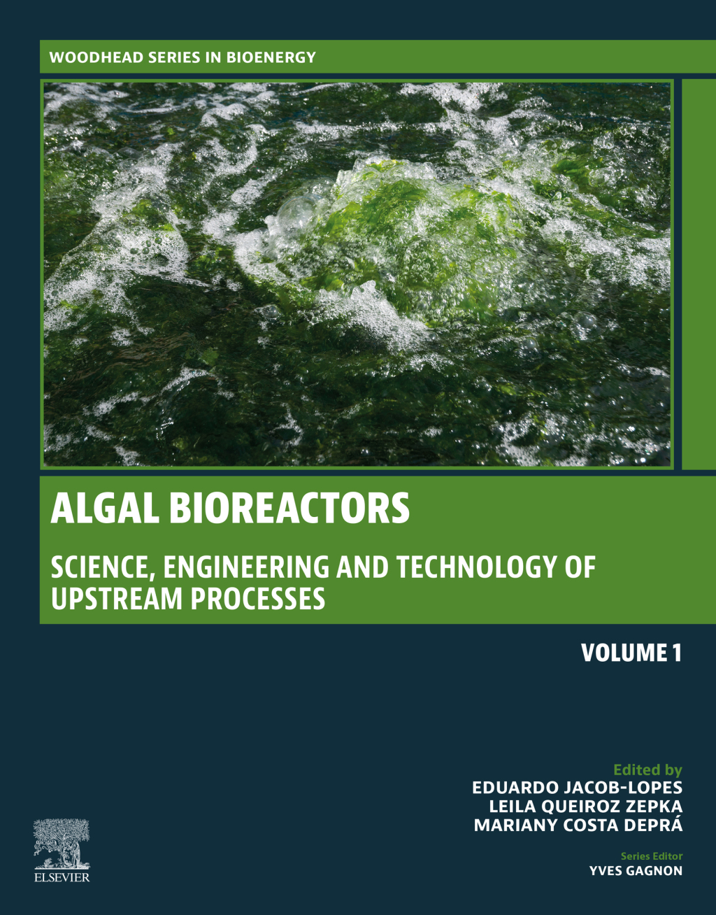 Algal Bioreactors Vol 1: Science, Engineering and Technology of upstream processes â€“ PDF/EPUB Version Downloadable