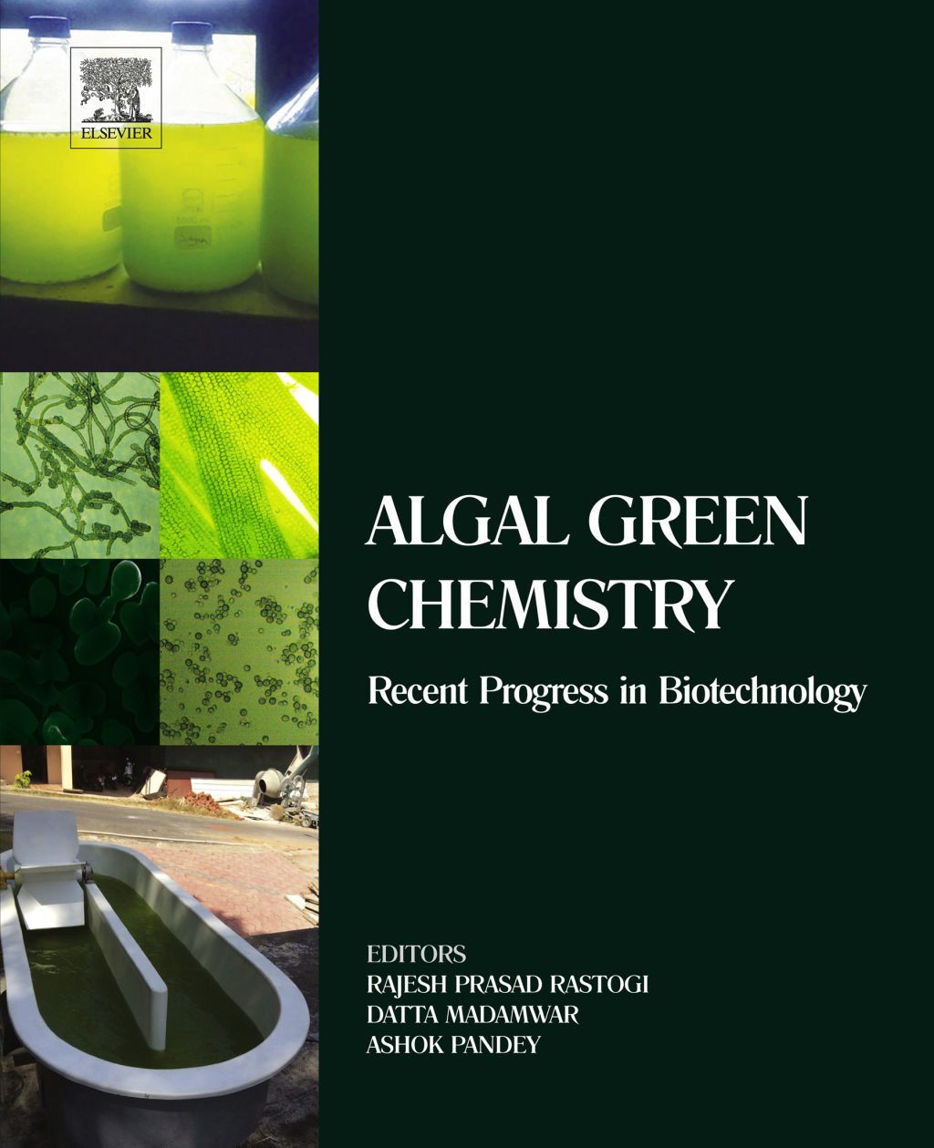 Algal Green Chemistry Recent Progress in Biotechnology â€“ PDF/EPUB Version Downloadable
