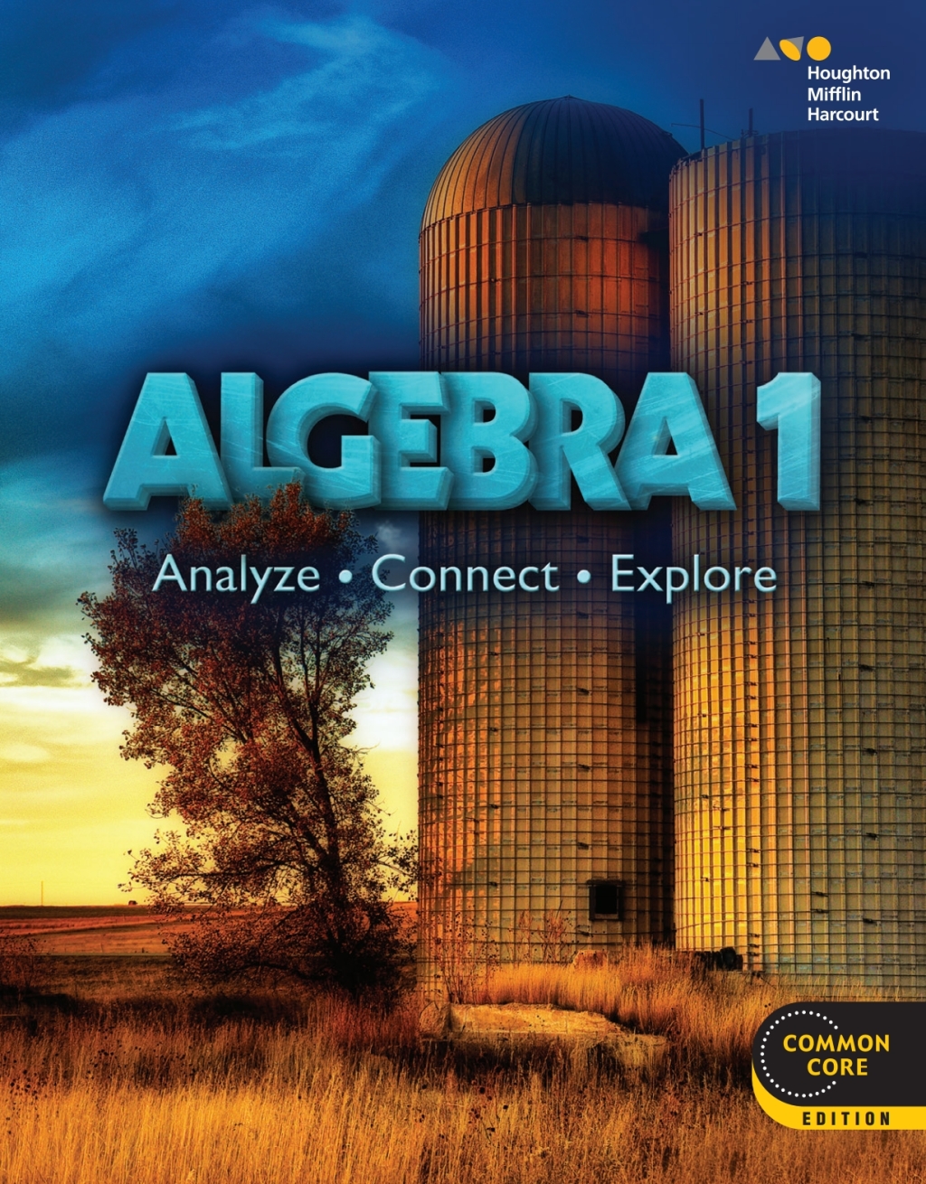 Algebra 1: Analyze, Connect, Explore Student Interactive Worktext  â€“ PDF/EPUB Version Downloadable