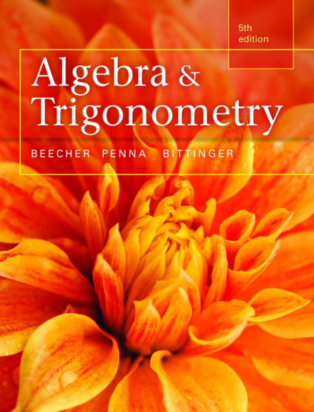 Algebra and Trigonometry (Pearson+) 5th Edition â€“ PDF/EPUB Version Downloadable