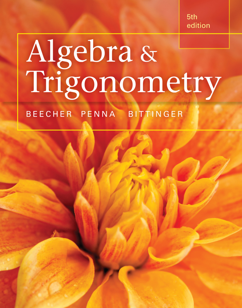 Algebra and Trigonometry 5th Edition â€“ PDF/EPUB Version Downloadable