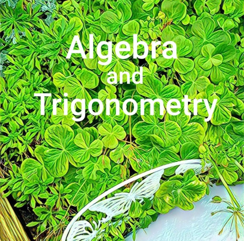 Algebra and Trigonometry Video eBook 1st Edition - (PDF/EPUB Version)