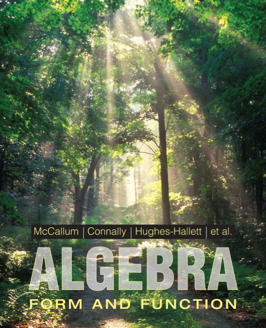 Algebra: Form and Function 2nd Edition â€“ PDF/EPUB Version Downloadable