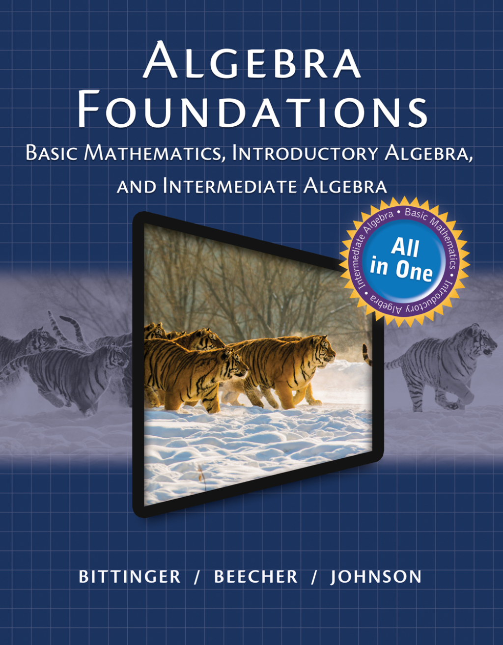 Algebra Foundations Basic Mathematics, Introductory Algebra, and Intermediate Algebra 1st Edition â€“ PDF/EPUB Version Downloadable