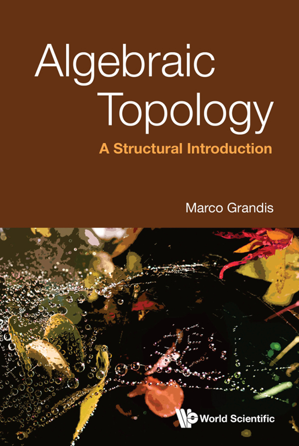 Algebraic Topology: A Structural Introduction - (PDF/EPUB Version)