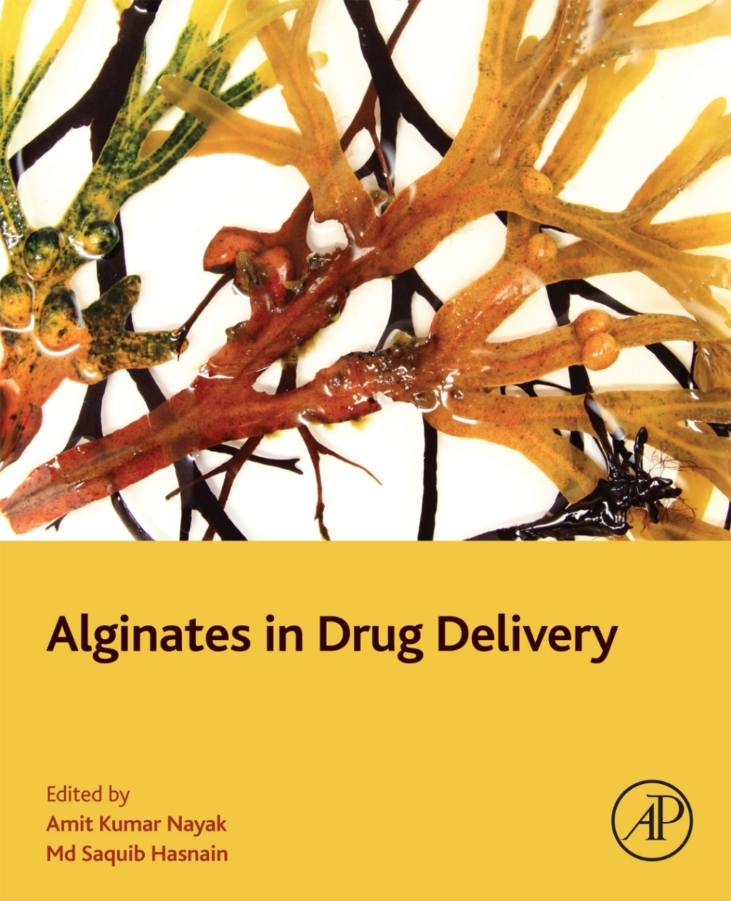 Alginates in Drug Delivery 1st Edition â€“ PDF/EPUB Version Downloadable