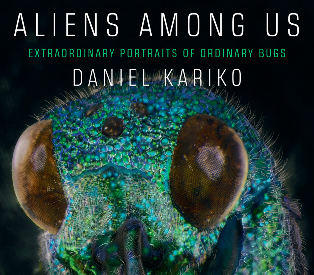 Aliens Among Us: Extraordinary Portraits of Ordinary Bugs - (PDF/EPUB Version)
