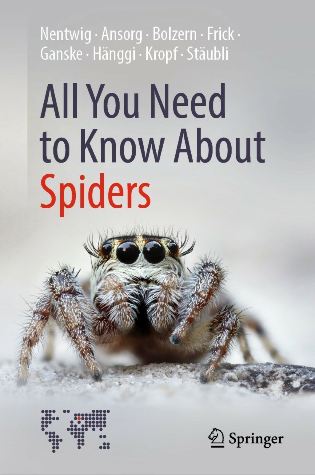 All You Need to Know About Spiders - (PDF/EPUB Version)