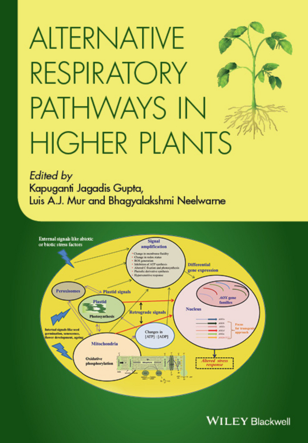 Alternative Respiratory Pathways in Higher Plants 1st Edition â€“ PDF/EPUB Version Downloadable