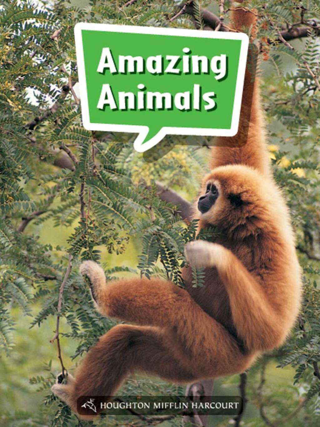 Amazing Animals 1st Edition - (PDF/EPUB Version)