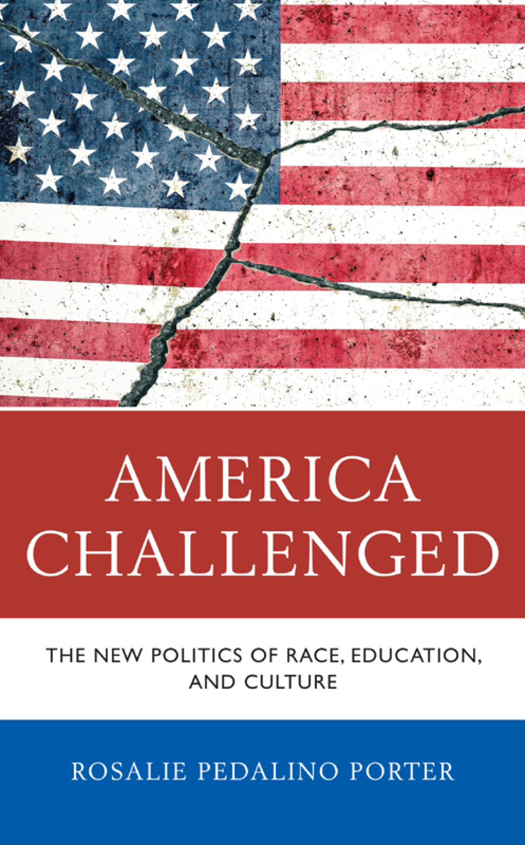 America Challenged The New Politics of Race, Education, and Culture - (PDF/EPUB Version)