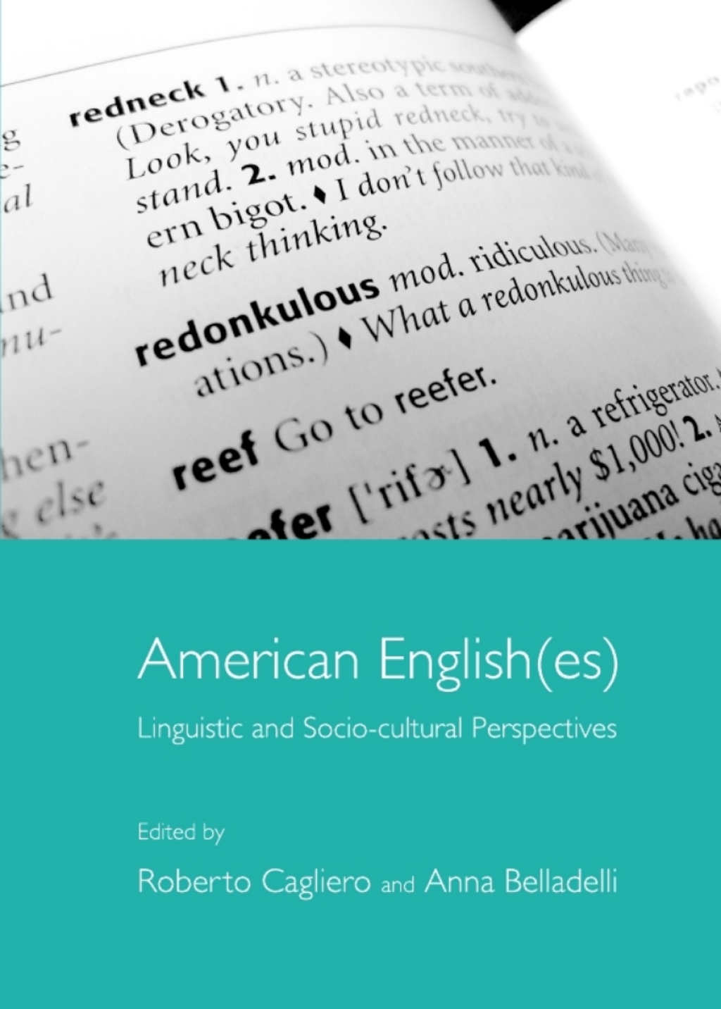 American English(es) Linguistic and Socio-cultural Perspectives 1st Edition â€“ PDF/EPUB Version Downloadable