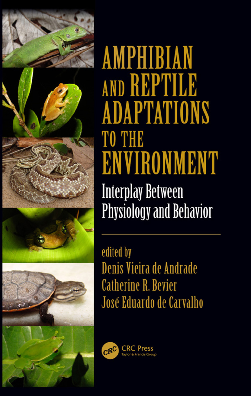 Amphibian and Reptile Adaptations to the Environment Interplay Between ...