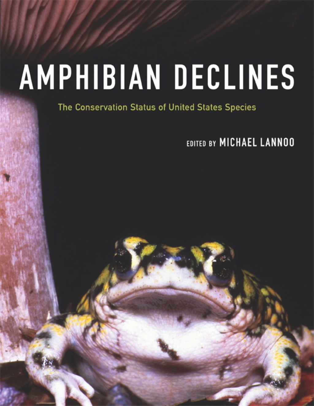 Amphibian Declines The Conservation Status of United States Species 1st Edition â€“ PDF/EPUB Version Downloadable