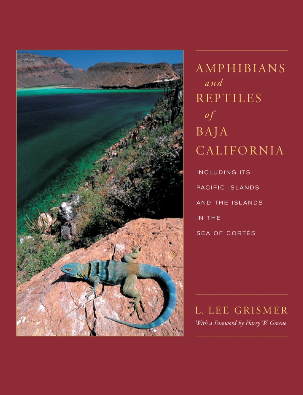 Amphibians and Reptiles of Baja California, Including Its Pacific Islands and the Islands in the Sea of Cortes 1st Edition â€“ PDF/EPUB Version Downloadable