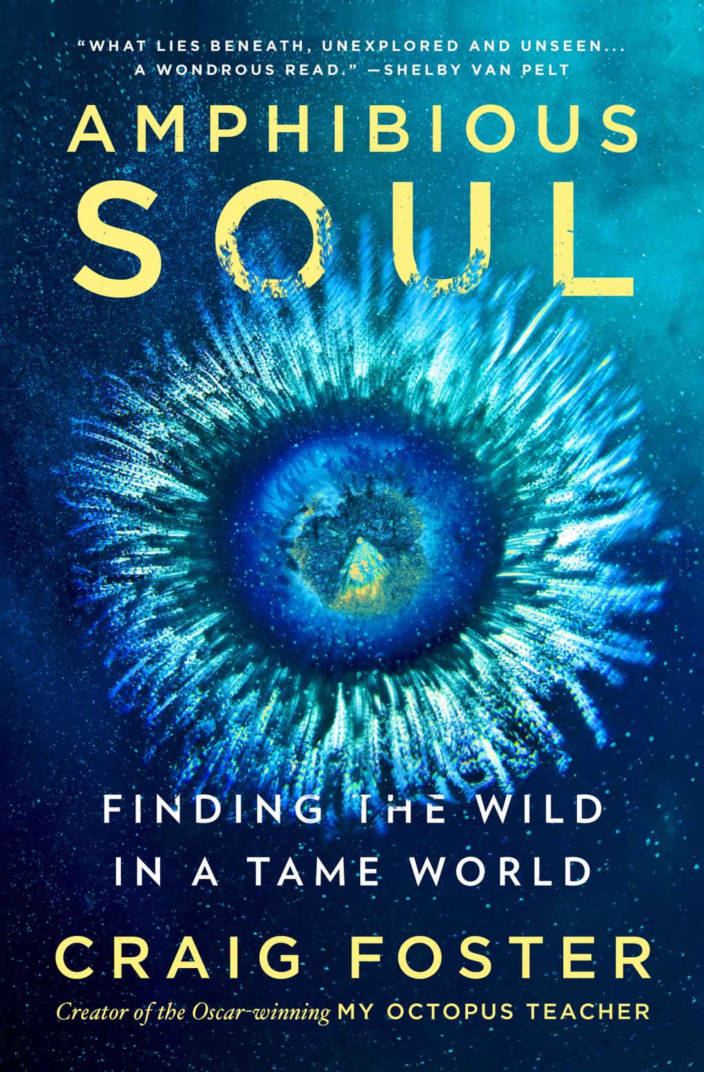 Amphibious Soul Finding the Wild in a Tame World - (PDF/EPUB Version)