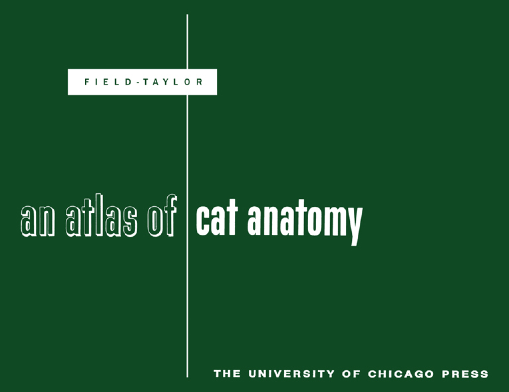 An Atlas of Cat Anatomy 22nd Edition â€“ PDF/EPUB Version Downloadable