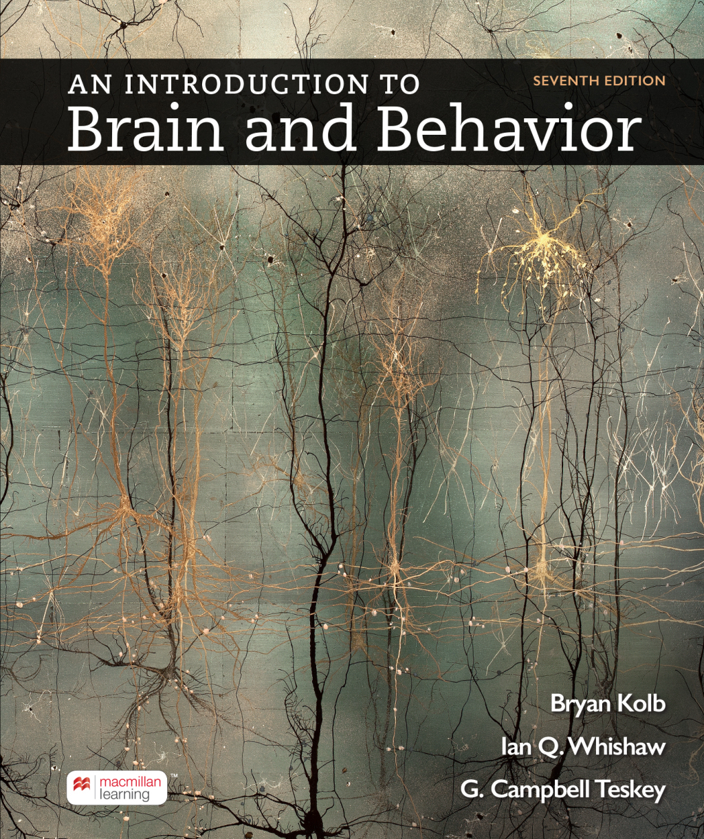 An Introduction to Brain and Behavior 7th Edition â€“ PDF/EPUB Version Downloadable