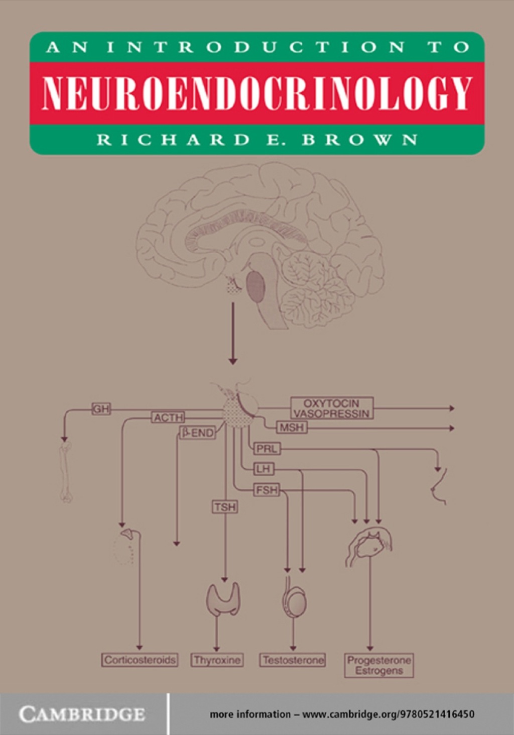An Introduction to Neuroendocrinology 1st Edition â€“ PDF/EPUB Version Downloadable