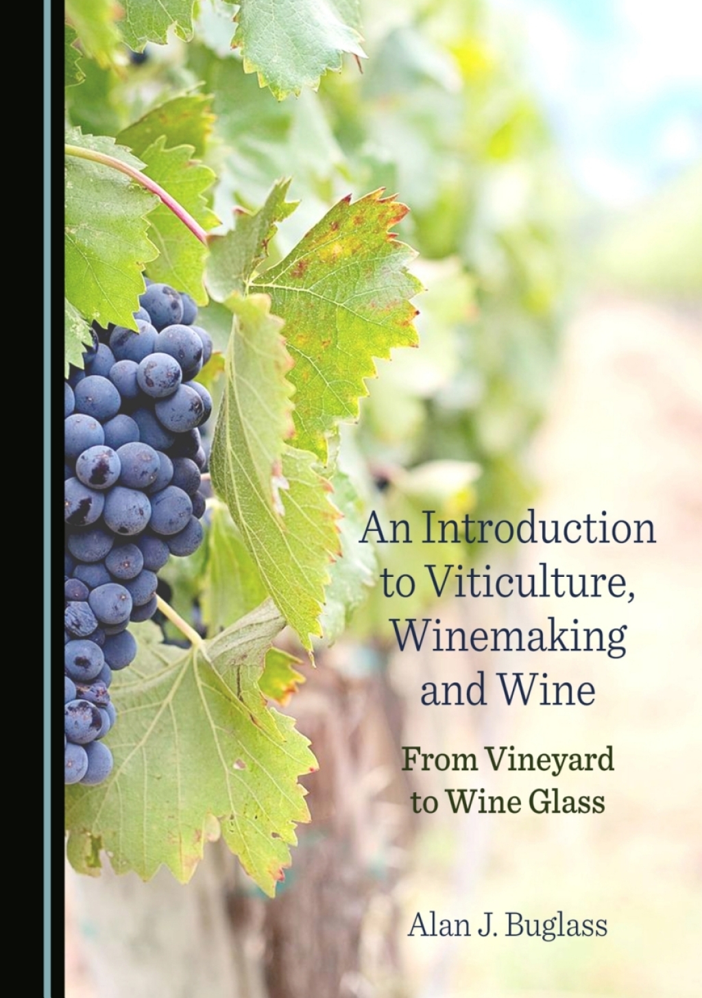 An Introduction to Viticulture, Winemaking and Wine From Vineyard to Wine Glass 1st Edition â€“ PDF/EPUB Version Downloadable