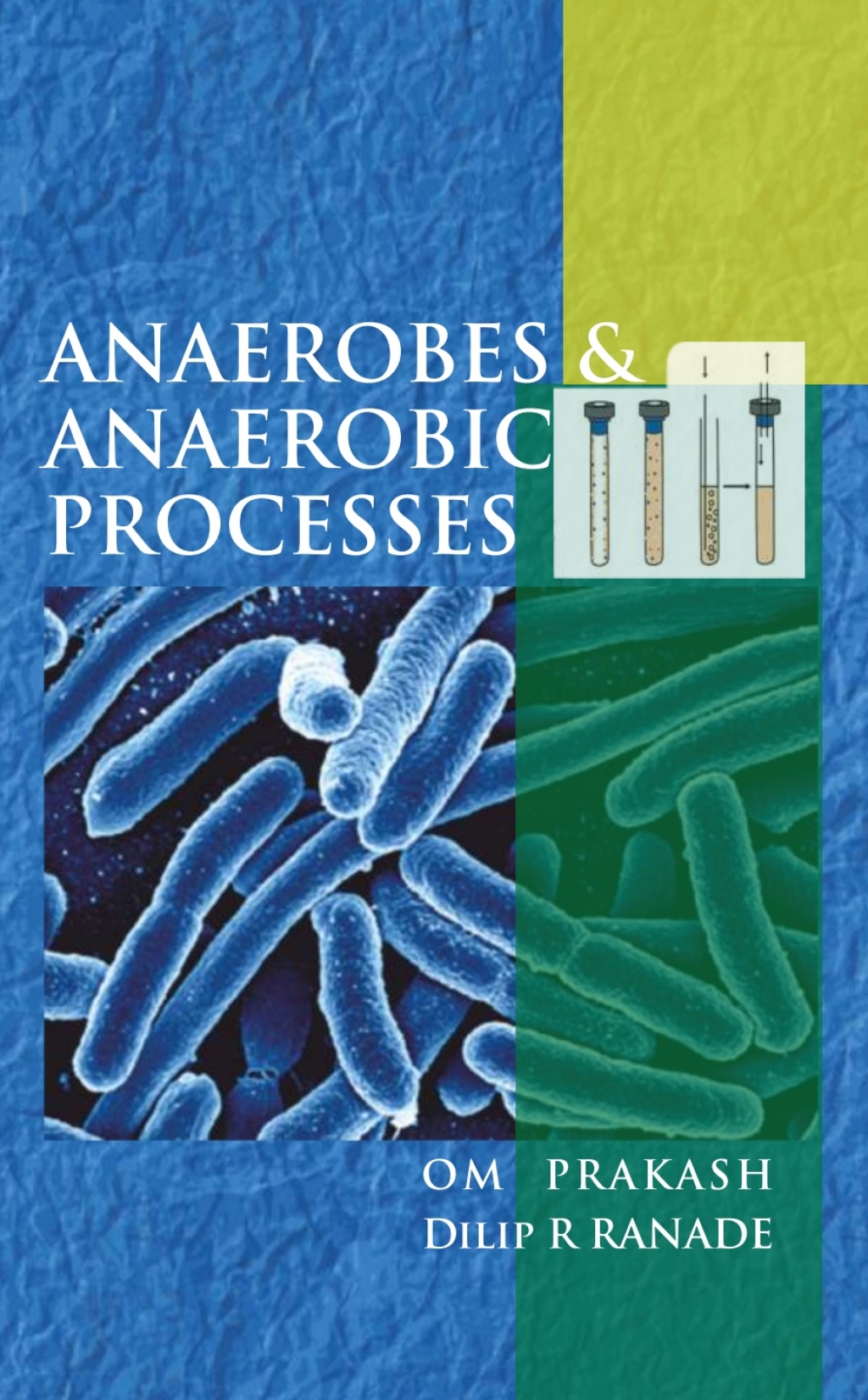 Anaerobes and Anaerobic Processes 1st Edition â€“ PDF/EPUB Version Downloadable