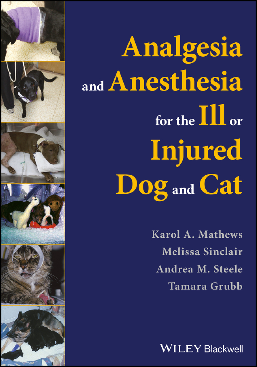 Analgesia and Anesthesia for the Ill or Injured Dog and Cat 1st Edition â€“ PDF/EPUB Version Downloadable