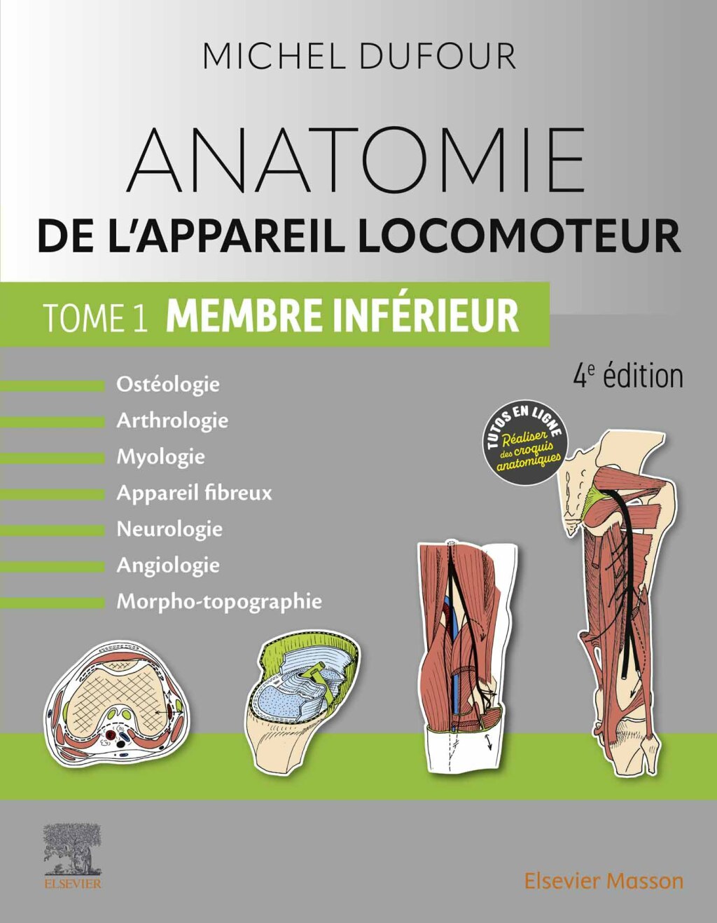 Anatomie de l'appareil locomoteur - Tome 1. Membre infÃ©rieur 4th Edition â€“ PDF/EPUB Version Downloadable