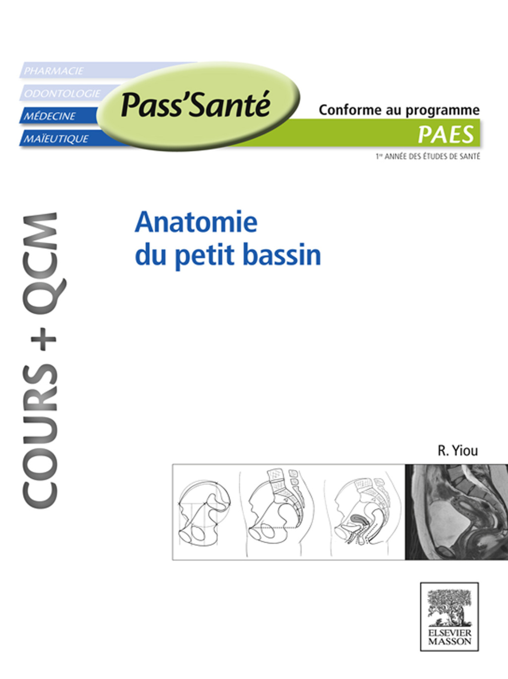 Anatomie du petit bassin (Cours + QCM) - (PDF/EPUB Version)