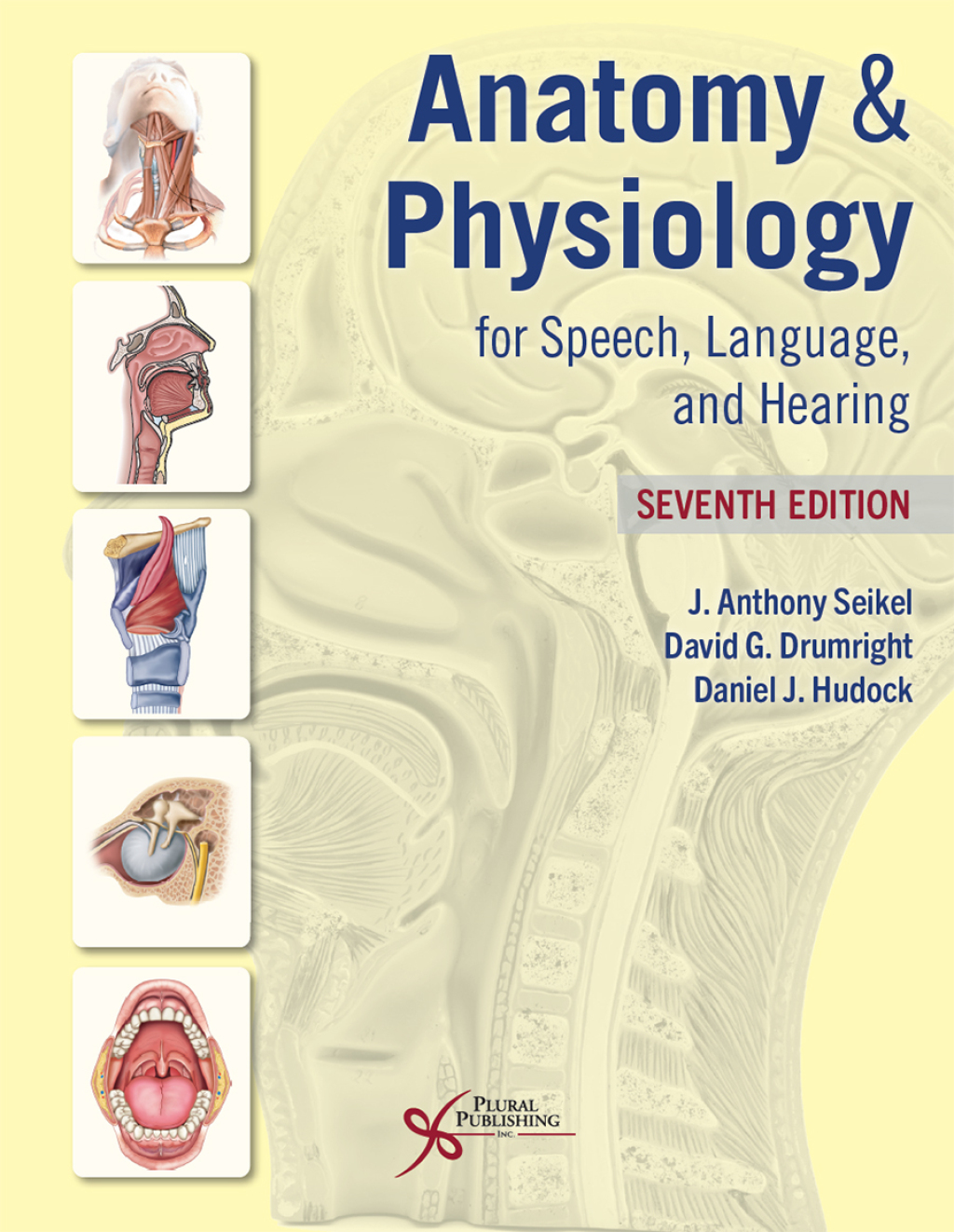 Anatomy & Physiology for Speech, Language, and Hearing 7th Edition â€“ PDF/EPUB Version Downloadable