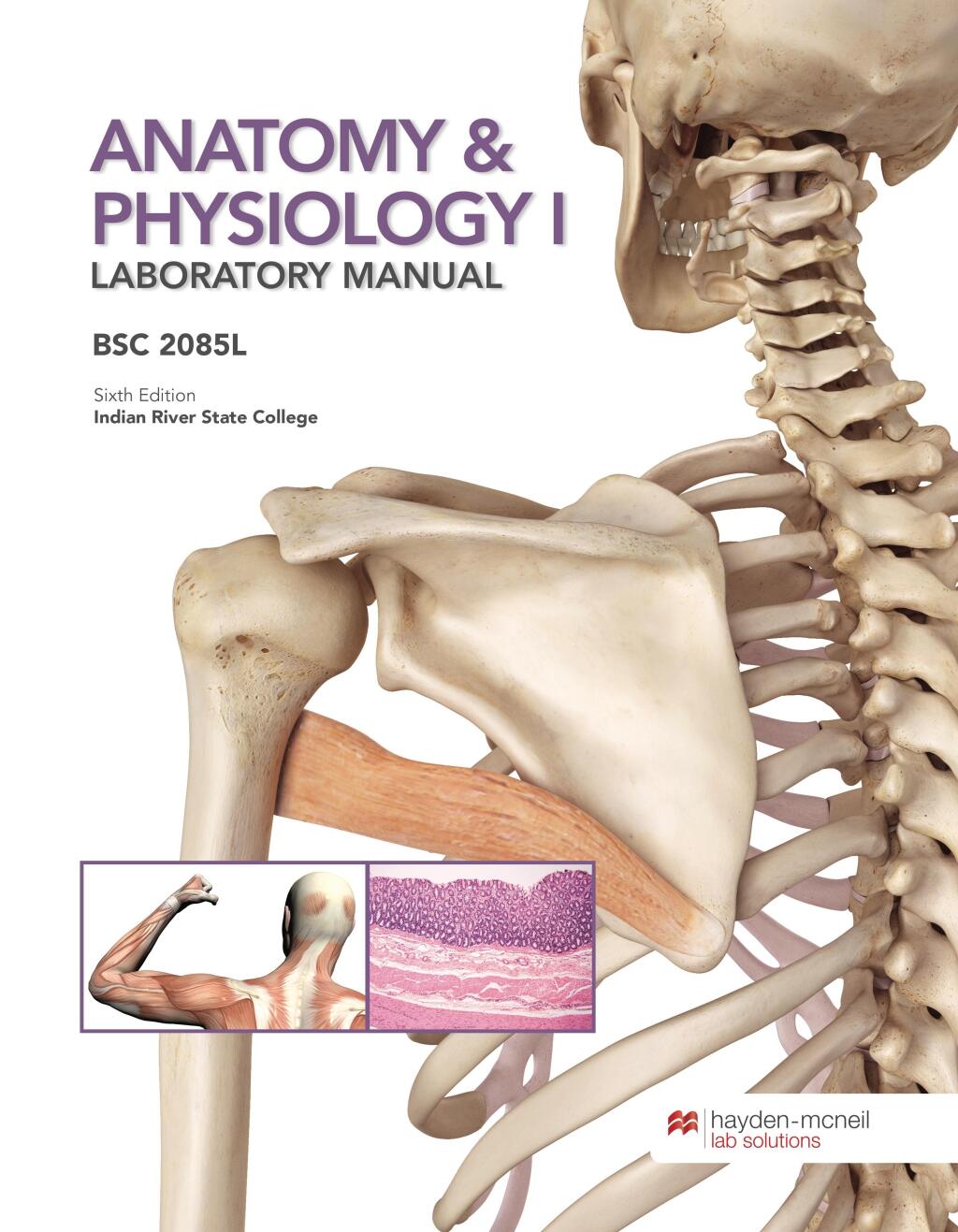 Anatomy & Physiology I Laboratory Manual BSC 2085L - Indian River State College 6th Edition - (PDF/EPUB Version)
