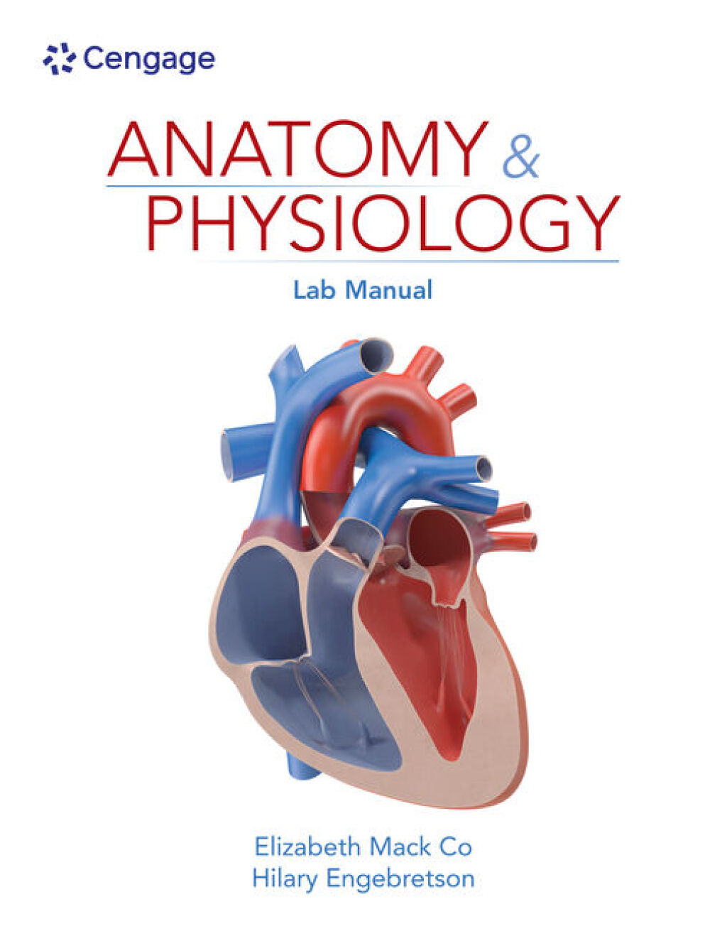 Anatomy & Physiology Lab Manual 1st Edition â€“ PDF/EPUB Version Downloadable