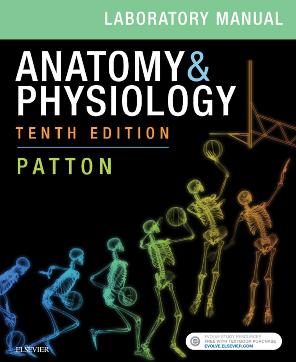 Anatomy & Physiology Laboratory Manual and E-Labs 10th Edition â€“ PDF/EPUB Version Downloadable