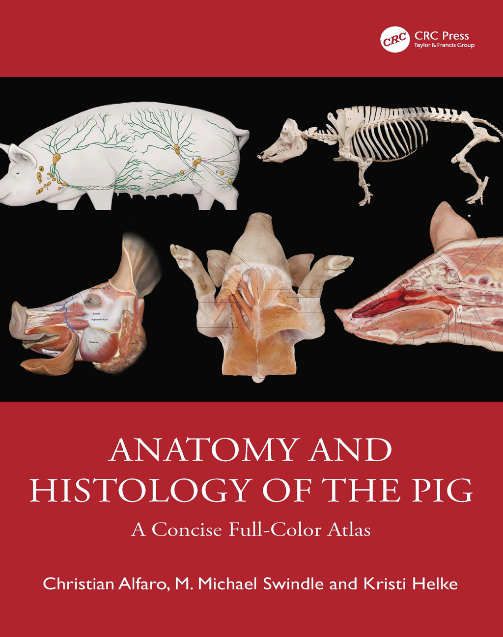 Anatomy and Histology of the Pig A Concise Full-Color Atlas 1st Edition â€“ PDF/EPUB Version Downloadable