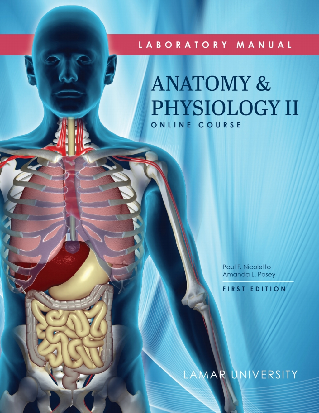 Anatomy and Physiology II; Online Course 1st Edition â€“ PDF/EPUB Version Downloadable ...