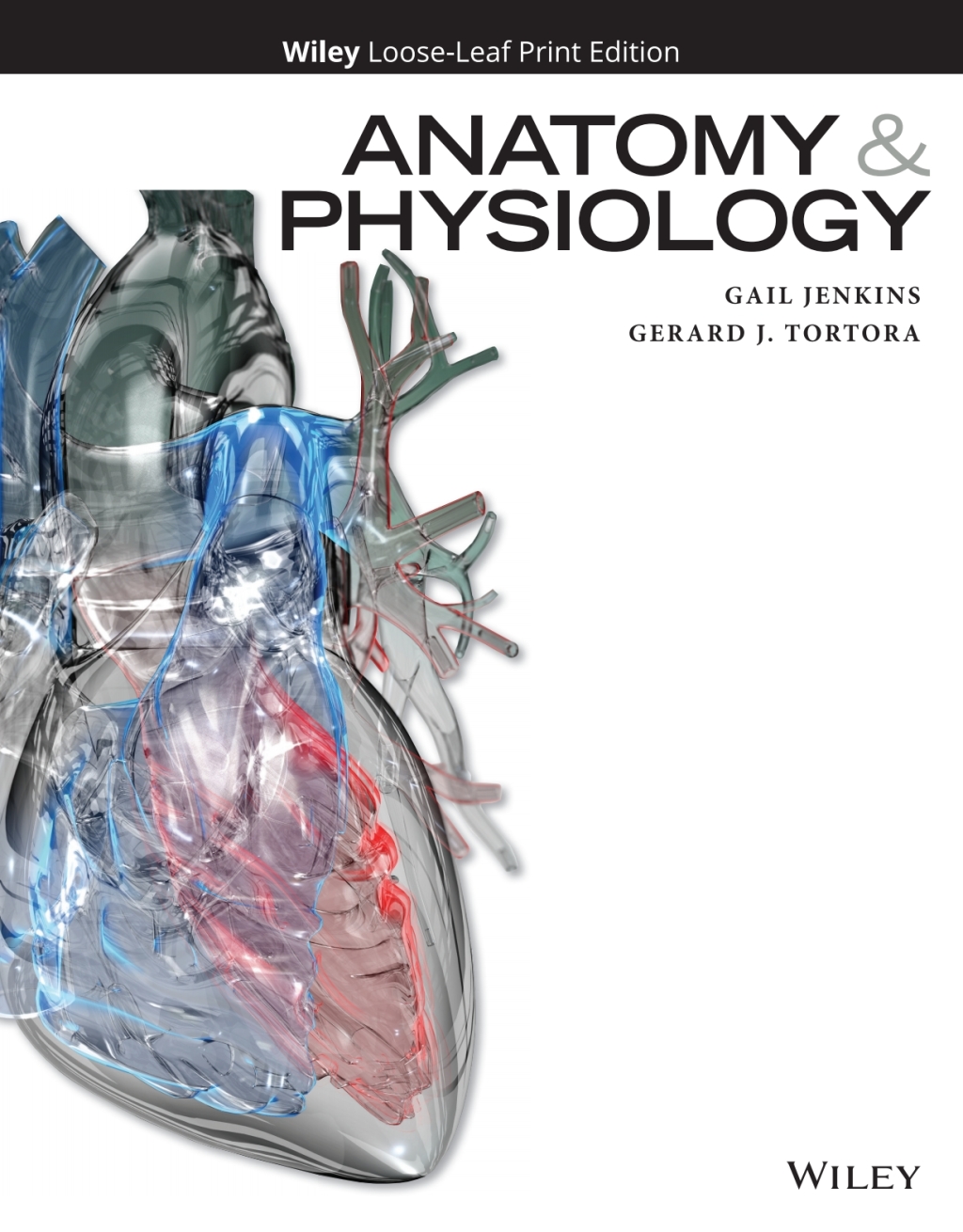 Anatomy and Physiology WileyPLUS Single-term 1st Edition â€“ PDF/EPUB Version Downloadable
