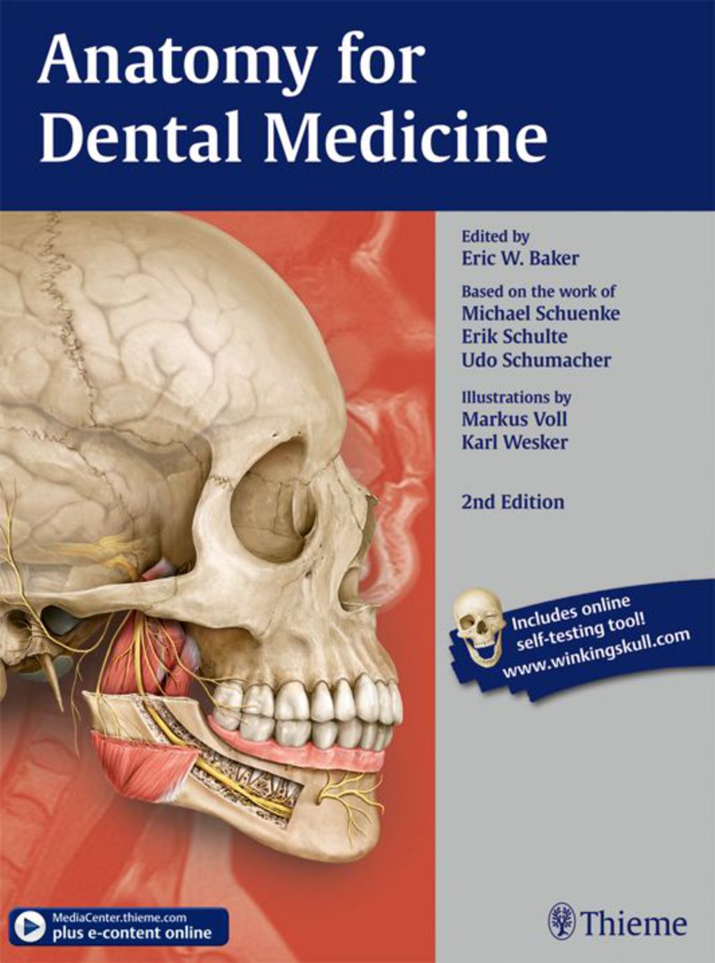 Anatomy for Dental Medicine 2nd Edition â€“ PDF/EPUB Version ...