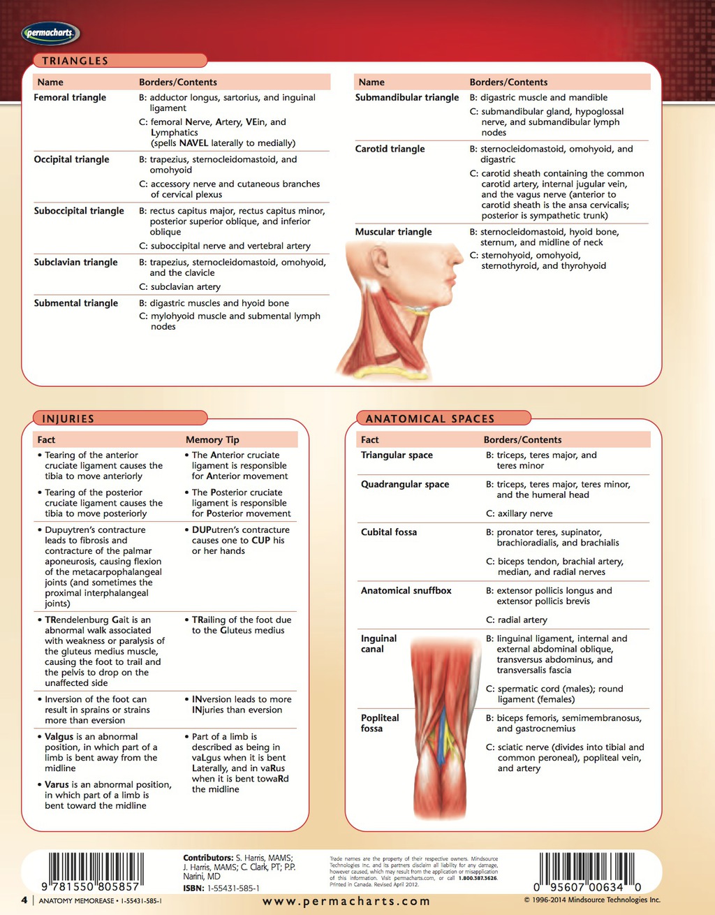 Anatomy MemorEase Chart - Medicine and Anatomy - Nursing Quick Reference Guide 2nd Edition - (PDF/EPUB Version)