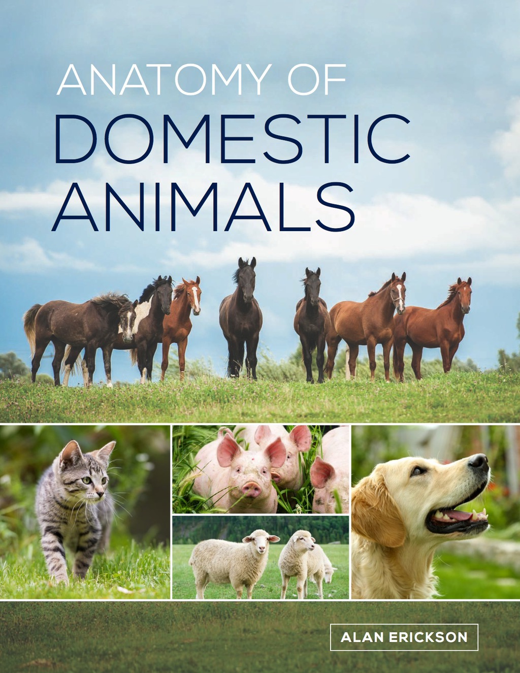 Anatomy of Domestic Animals 1st Edition - (PDF/EPUB Version)