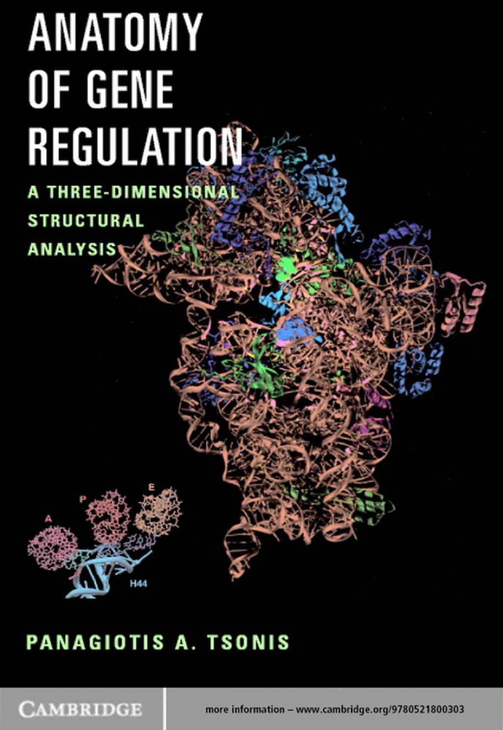 Anatomy of Gene Regulation A Three-Dimensional Structural Analysis 1st ...