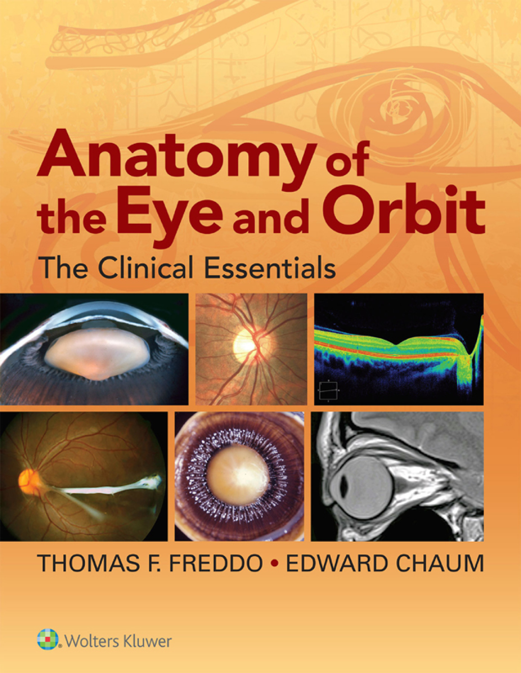 Anatomy of the Eye and Orbit The Clinical Essentials â€“ PDF/EPUB Version Downloadable