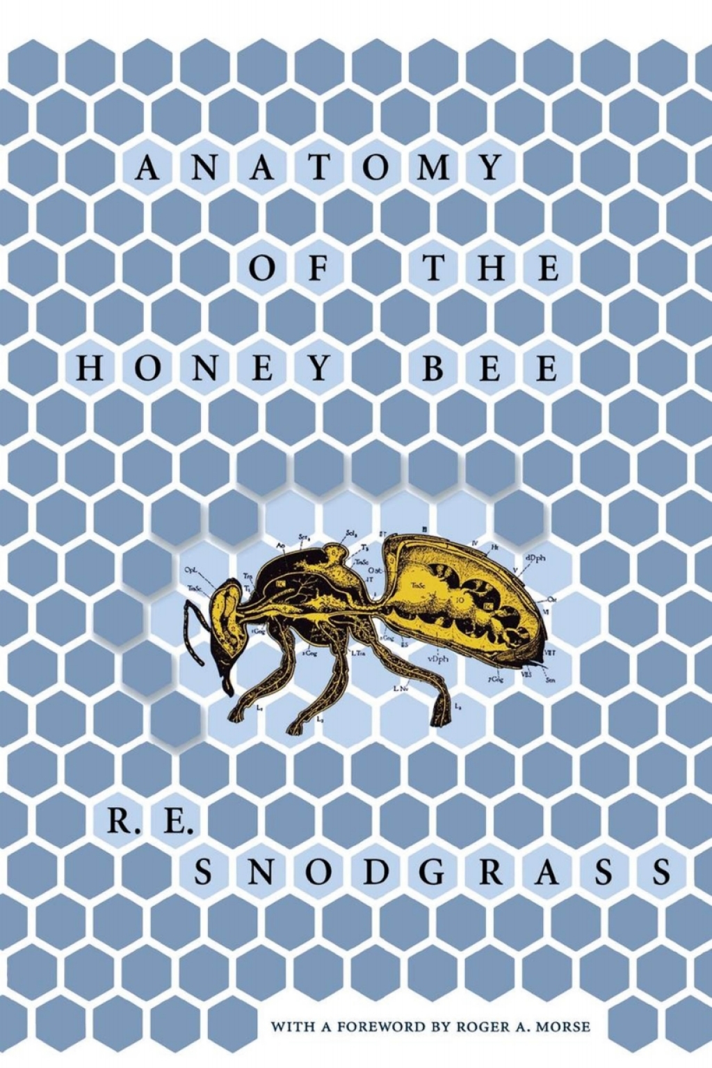 Anatomy of the Honey Bee â€“ PDF/EPUB Version Downloadable