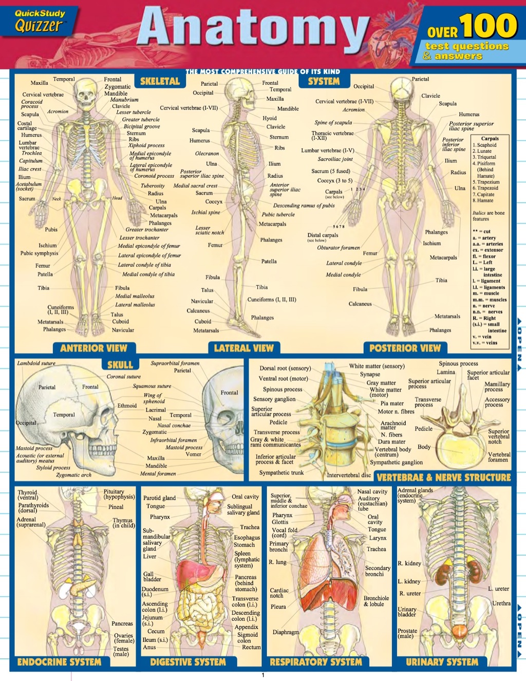 ANATOMY QUIZZER - (PDF/EPUB Version)