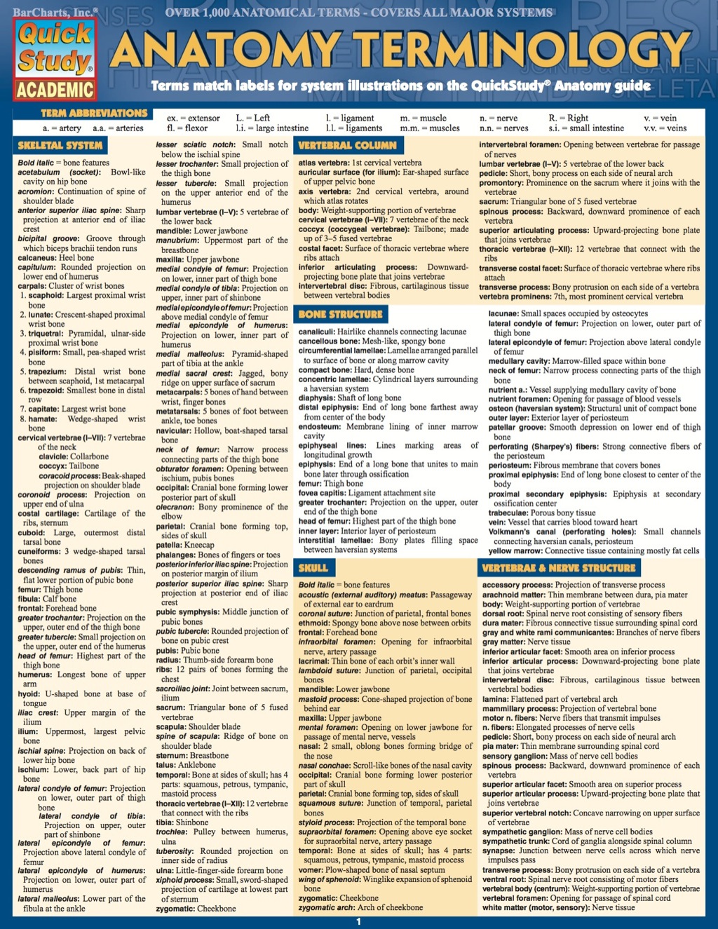 ANATOMY TERMINOLOGY STUDY GUIDE - (PDF/EPUB Version)