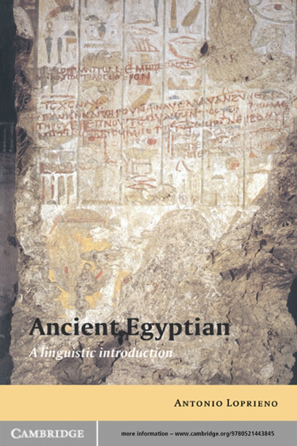 Ancient Egyptian A Linguistic Introduction 1st Edition â€“ PDF/EPUB Version Downloadable