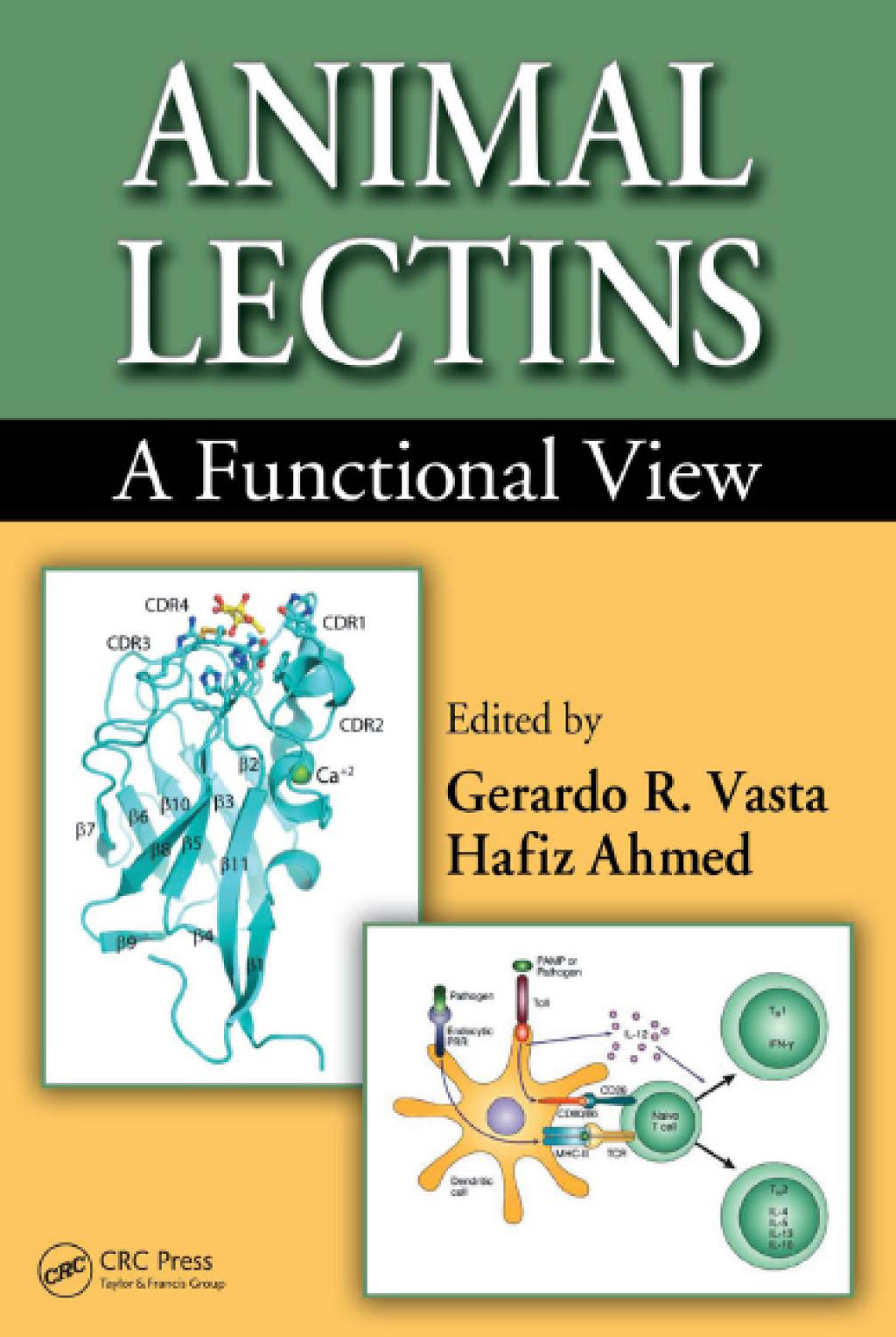 Animal Lectins A Functional View 1st Edition â€“ PDF/EPUB Version Downloadable