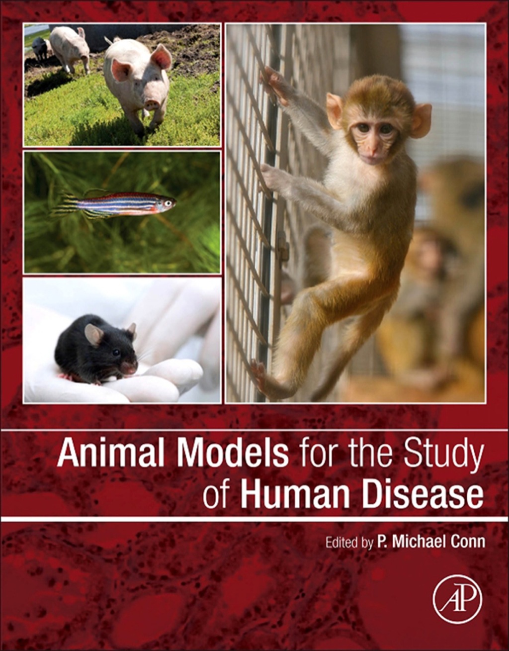 Animal Models for the Study of Human Disease 1st Edition â€“ PDF/EPUB Version Downloadable